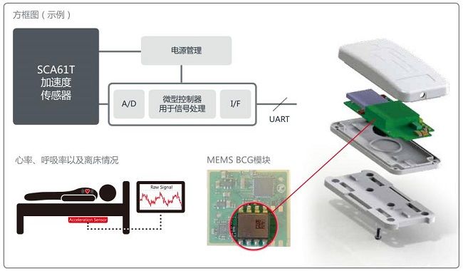 ����������BCGģ�K