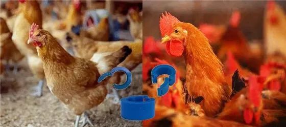 ����RFID�˺��ڻ��ݹ����đ���